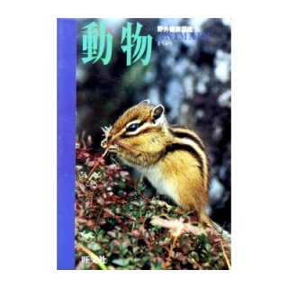 リドルはかせのちしきえほん ひととからだのふしぎ・1 リドルはかせのちしきのえほん7 ☆1992