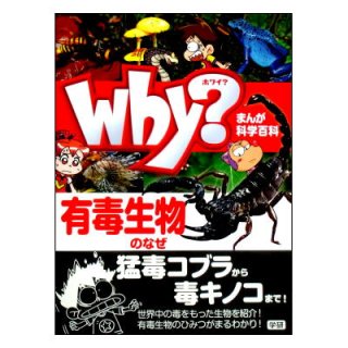 人気アイテム キットボックス実験図鑑 ☆学研・絶版☆20 ジャイロパワー・こま コマ・ベーゴマ