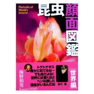 読んでみようわくわく短歌(国語がもっとすきになる本)