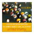 生きる意味 はじめての哲学　<オスカー・ブルニフィエ／ジャック・デプレ>　帯付き