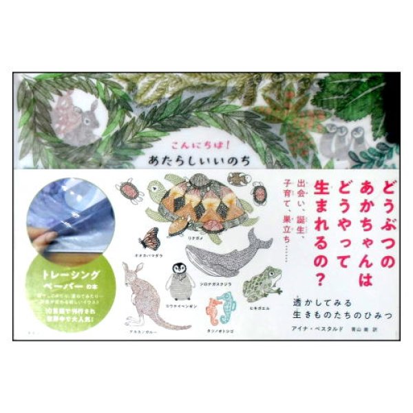 こんにちは！あたらしいいのち　トレーシングペーパー絵本　<アンナ・ベスタルド／青山南>