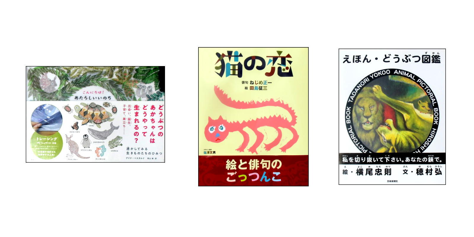 7/8 新着 アート絵本